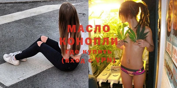 молекула духа Краснослободск