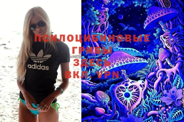 mdpv Краснотурьинск