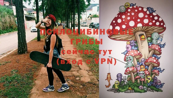 молекула духа Краснослободск