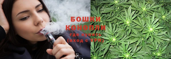 прущие грибы Липки