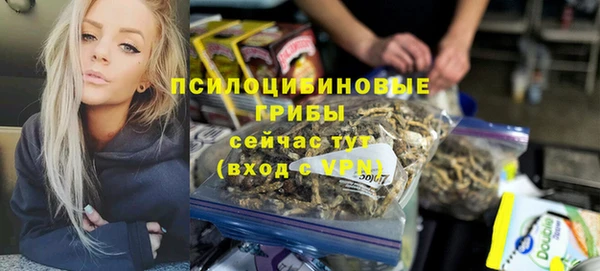 молекула духа Краснослободск