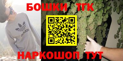 молекула духа Славянск-на-Кубани