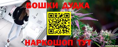 кокс Славгород