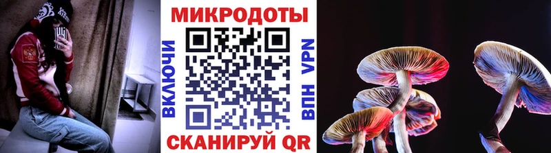 где купить наркоту  Находка  Псилоцибиновые грибы ЛСД 