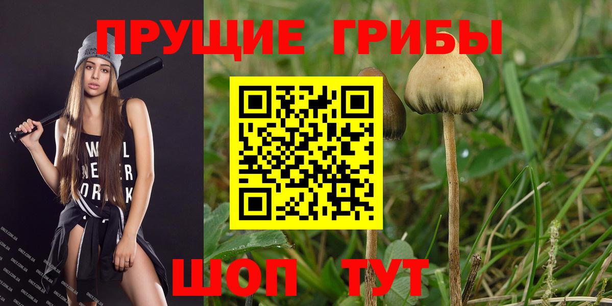 Псилоцибиновые грибы MAGIC MUSHROOMS Находка