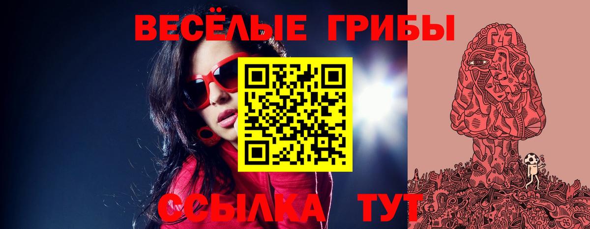 купить наркотик  Галлюциногенные грибы Psilocybe  Вход с VPN  Находка 